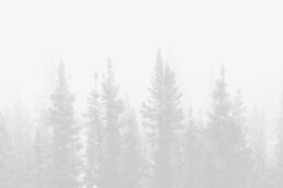 image placeholder 13 min uai