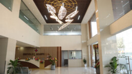 Impulse Hospital - Entrance Lobby Atrium - Ground Floor